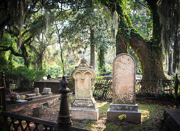 Sunlit cemetery with two ornate tombstones, surrounded by moss-covered trees and vines. Atmosphere is serene and contemplative.