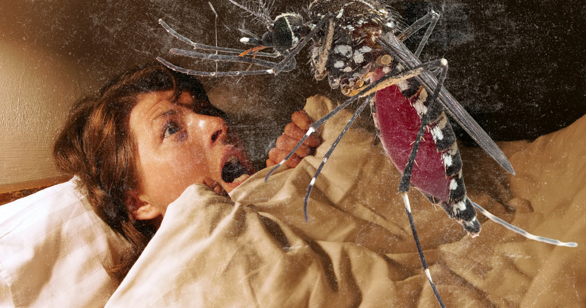 A frightened woman in bed screaming at a very large mosquito