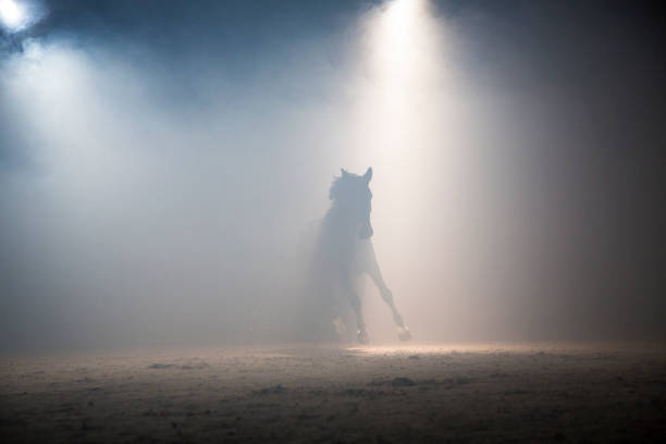 A backlit horse galloping in the mist